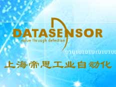 上海帝思工業(yè)自動化設備有限公司
