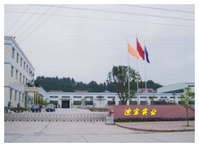 深圳市迪寶實業(yè)有限公司