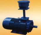 南方 YBF系列高壓隔爆型三相異步電動機(jī)