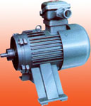 萬(wàn)高 YBJa系列絞車(chē)用隔爆電動(dòng)機(jī)