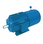 震威 YEJ2系列電磁制動(dòng)電動(dòng)機(jī)
