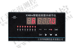 華海測控 XMDA-6000 智能巡回顯示調節(jié)儀