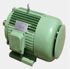 經(jīng)緯 FX系列高效率三相異步電動機