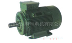 金達(dá) yze、yzre系列起重及冶金用電磁制動(dòng)三相異步電機(jī)