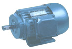 通用電機(jī) YLJW系列力矩三相異步電動(dòng)機(jī)