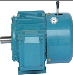 達(dá)順機(jī)電 YEJ系列倉儲(chǔ)專用電機(jī)