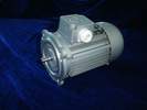 新微電機(jī) YS（AO2）系列三相異步電動機(jī)