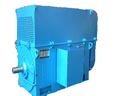 臥龍電氣 YKK、YKS系列中型高壓三相異步電動(dòng)機(jī)