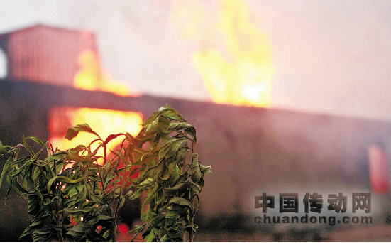 火場(chǎng)周圍的野草都被烈焰烤黃